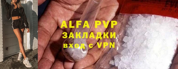 стафф Богданович