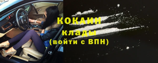 стафф Богданович