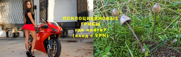 прущая мука Богородицк