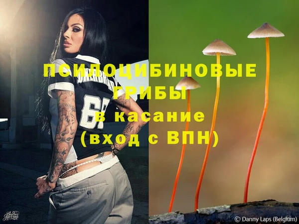 стафф Богданович