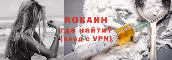 стафф Богданович